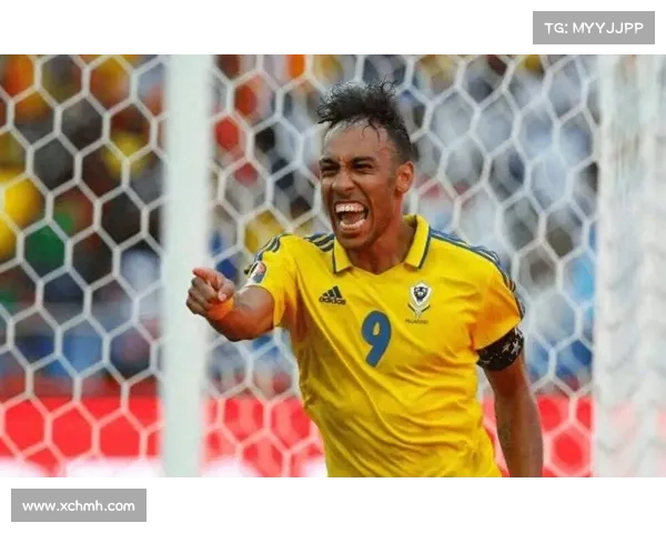 奥巴梅扬拒绝法国队背后的身份认同与非洲血统归属深层原因分析